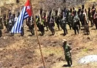 OPM Bantai Sopir Truk di Yahukimo, DPR Desak Aparat Lakukan Ini