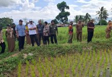 Kementerian LH dan Kehutanan Tinjau Langsung Pelaksanaan Program Pompanisasi Lahan Pertanian di Kecamatan Martapura Barat