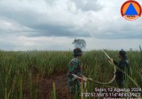 Karhutla di Belakang Makam Datu Bagul