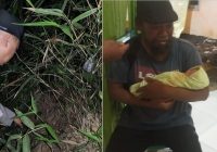 Bayi Perempuan Masih Hidup Ditemukan di Semak di Desa Karang Taruna Pelaihari