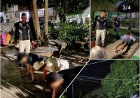 Puluhan Remaja di Banjarbaru Kepergok Minum Alkohol di Tempat Sepi