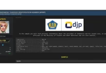 Lagi! Enam Juta Data NPWP Diduga Bocor, Tapi Ditjen Pajak Bilang Begini: