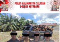 4 Warga Pamukan Utara Bawa Kabur Buah Sawit Perusahaan Tanpa Izin Berujung Diringkus Polisi