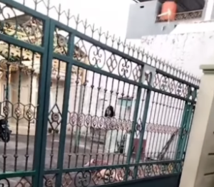 Anak perempuan aniaya ibunya pakai parang di Makassar. (wartabanjar.com - Ist. @makassarsoecity)