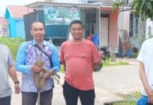4 Anak Jadi Korban Serangan, Animal Rescue Amankan Monyet di Mahatama Regency
