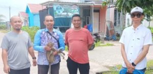 Monyet liar berhasil diamankan Animal Rescue Banjarmasin, Rabu. (wartabanjar.com - Ist. Info_Banjarmasin)