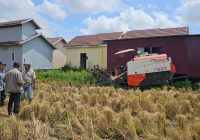 Dijamin Hasil Panen Meningkat, Dinas Pertanian Banjar Inspeksi Kinerja Mesin Alsintan di Sawah Warga