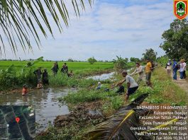 BPTPH Dinas Pertanian Kalsel Bantu Petani Kendalikan Hama