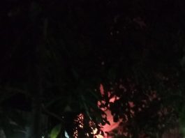 Kondisi Terkini Bangunan Rumah dan SDN Teluk Dalam 3 Banjarmasin yang Hangus Terbakar