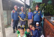 Zali Resah Biawak Berkeliaran di Dapurnya Langsung Lapor DPKP Banjar