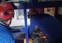 Diduga Berkelahi, Seekor Kucing Terjebak di Teralis Jendela Rumah Warga di Kertak Hanyar