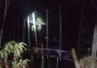Sebuah Kandang Ayam Hangus dalam Kebakaran di Desa Jimamun Balangan
