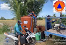 Krisis Air Bersih Masih Melanda, BPBD Banjar Distribusikan 10 Ribu Liter Air Bersih ke Desa Muara Halayung