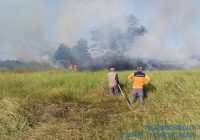5 Hektare Lahan Terbakar di Kabupaten Banjar, Karhutla Terjadi di 3 Lokasi