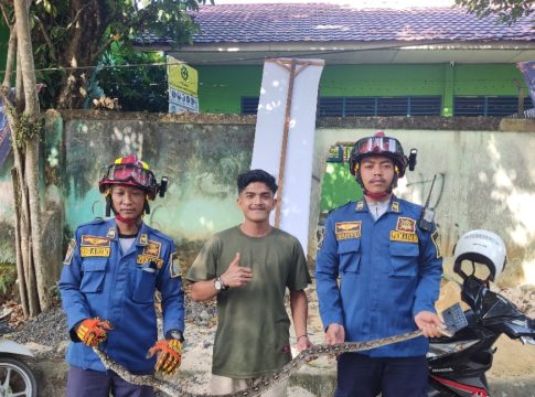 Ular Piton Ditemukan di SMPN 1 Martapura
