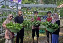 Program Sekolah Sehat dan Adiwiyata, Jadi Program Unggulan SMP 4 Paringin