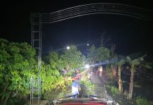 Pohon Tumbang Ganggu Jalan dan Saluran Air Sawah Warga di Desa Melayu Ilir