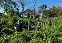 Keeper di Bali Safari and Marine Park Diamuk Gajah hingga Diseruduk Berkali-kali