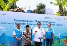 PLN Kembangkan Ekosistem Biomassa Berbasis Pertanian Terpadu, Manfaatkan 1,7 Juta Hektare Lahan Kritis