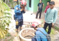 Geger Ular Kobra Dalam Sumur di Cindai Alus