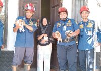 Anjing Liar Buat Resah Warga Jalan Simpang 3 Dievakuasi DPKP