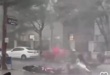 Badai Menyapu Shanghai Akibatkan 1.800 Pohon Bertumbangan, Area Bisnis Tutup