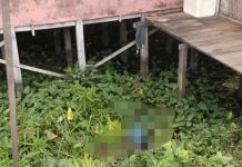 BREAKING NEWS: Penemuan Mayat Perempuan di Pandan Sari Tatah Makmur