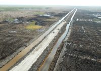 Realisasikan Cetak Sawah 1 Juta Ha di Merauke, Haji Isam Rintis Pembangunan Jalan Lewati 4 Distrik