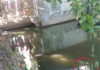 BREAKING NEWS : Mayat Mengapung di Aliran Sungai Jalan A Yani Km 4,5