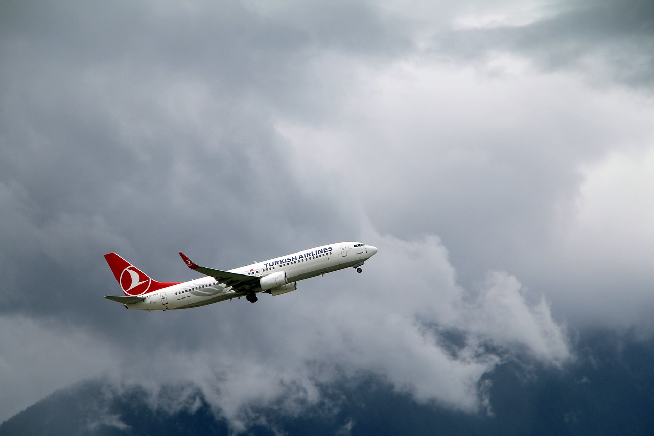 Ilustrasi Turkish Airlines (Pixabay)