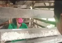 Miris, Kakak Beradik di Sukabumi Dikurung di Tempat Mirip Kandang Kambing Selama 5 Tahun