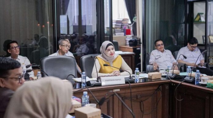 Ketua Komisi IV DPRD Kalsel, Jihan Hanifha SH, memimpin rapat dengan mitra kerja, Rabu 16 Oktober 2024. (wartabanjar.com - Ist. Humas)