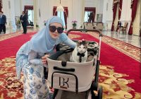 Heboh Kucing Presiden Prabowo Berkeliaran di Istana Negara Bikin Gemas Warganet, Segini Ternyata Harga Stroller Bobby Kertanegara