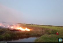 4,3 Hektare Lahan di Desa Samuda HSS Terbakar