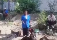 Viral Ospek Maba Disuruh Minum Oli di Politeknik Negeri Kupang