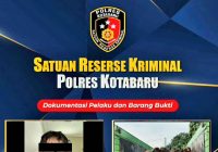 Pemuda ini Dipergoki Sedang Mencuri Tandan Buah Segar Kelapa Sawit, Berujung Diringkus Polisi di Kotabaru