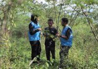 PLN Kembangkan Biomassa di Tasikmalaya yang Dikelola Masyarakat