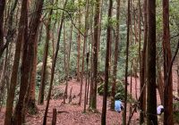 Kisah Pendaki Gunung Hauk di Desa Ajung Balangan, Temukan Hal Unik