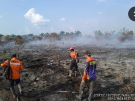 BPBD Balangan Sulit Padamkan Karhutla di Lampihong, 70 Persen Lahan Masih Terbakar