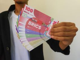 Pemerintah Telah Pertimbangkan Gabung BRICS Demi Kepentingan Nasional ini
