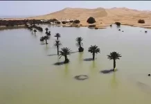 Wilayah Gurun Sahara yang Gersang Kini Berubah Danau dan Rawa
