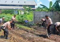 Keren! Polisi Banjarmasin Manfaatkan Lahan Kosong Mapolsek Bansel untuk Tanam Cabai