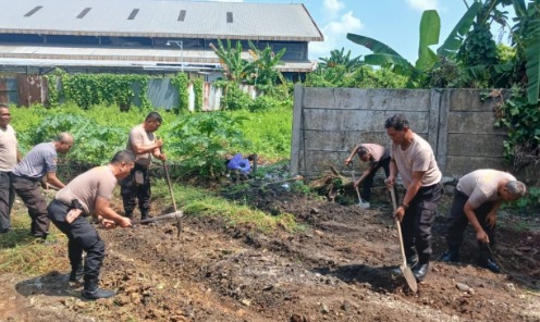 08112024_Personel Polsek Banjarmasin Selatan menanam cabai di lahan kosong Mapolsek. (wartabanjar.com - Ist. Humas Polresta Banjarmasin) Personel Polsek Banjarmasin Selatan menanam cabai di lahan kosong Mapolsek. (wartabanjar.com - Ist. Humas Polresta Banjarmasin)