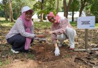 Maknai Sumpah Pemuda dan Hari Pahlawan, Srikandi PLN Indonesia Power UBP Barito Lakukan Aksi Penghijauan di PLTA Ir PM Noor
