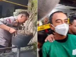 Pemakai Narkoba Tanam Ganja Dalam Pot di Atap Rumah untuk Dikonsumsi dan Dijual