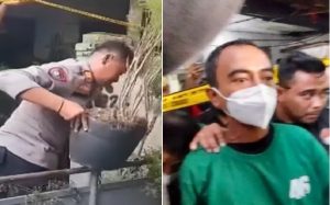 Tersangka AJ saat diamankan dan tanaman ganja yang ditemukan polisi di atap rumah AJ. (wartabanjar.com - Ist. Info Jakarta)