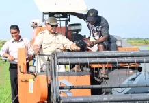 Prabowo Tinjau Langsung Panen Padi dengan Alat Modern di Merauke