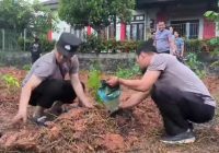 Polsek KPL Polresta Banjarmasin Manfaatkan Lahan Kosong untuk Tanam Bibit