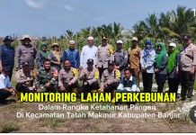 Ponpes Usluhudin di Pemangkih Baru Miliki Lahan Perkebunan Seluas 1,2 Hektare