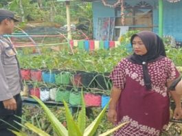 Polsek Mentewe Tanah Bumbu Lakukan Monitoring Ketahanan Pangan di Desa Rejosari
